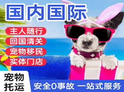 齐齐哈尔机场空运国际宠物托运 【国